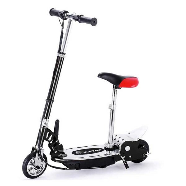 Overwhelming E120 Electric Scooter