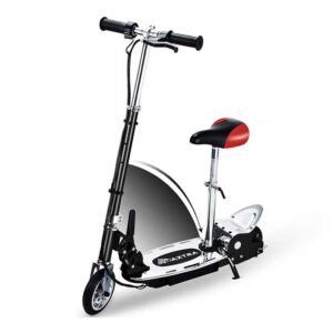 Overwhelming E120 Electric Scooter
